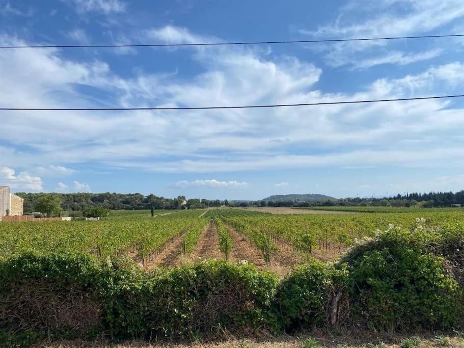 Une Parenthese Face Aux Vignes Sorgues Extérieur photo